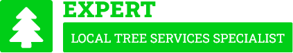 Palmerston North Tree Services - Tree Removal Palmerston North